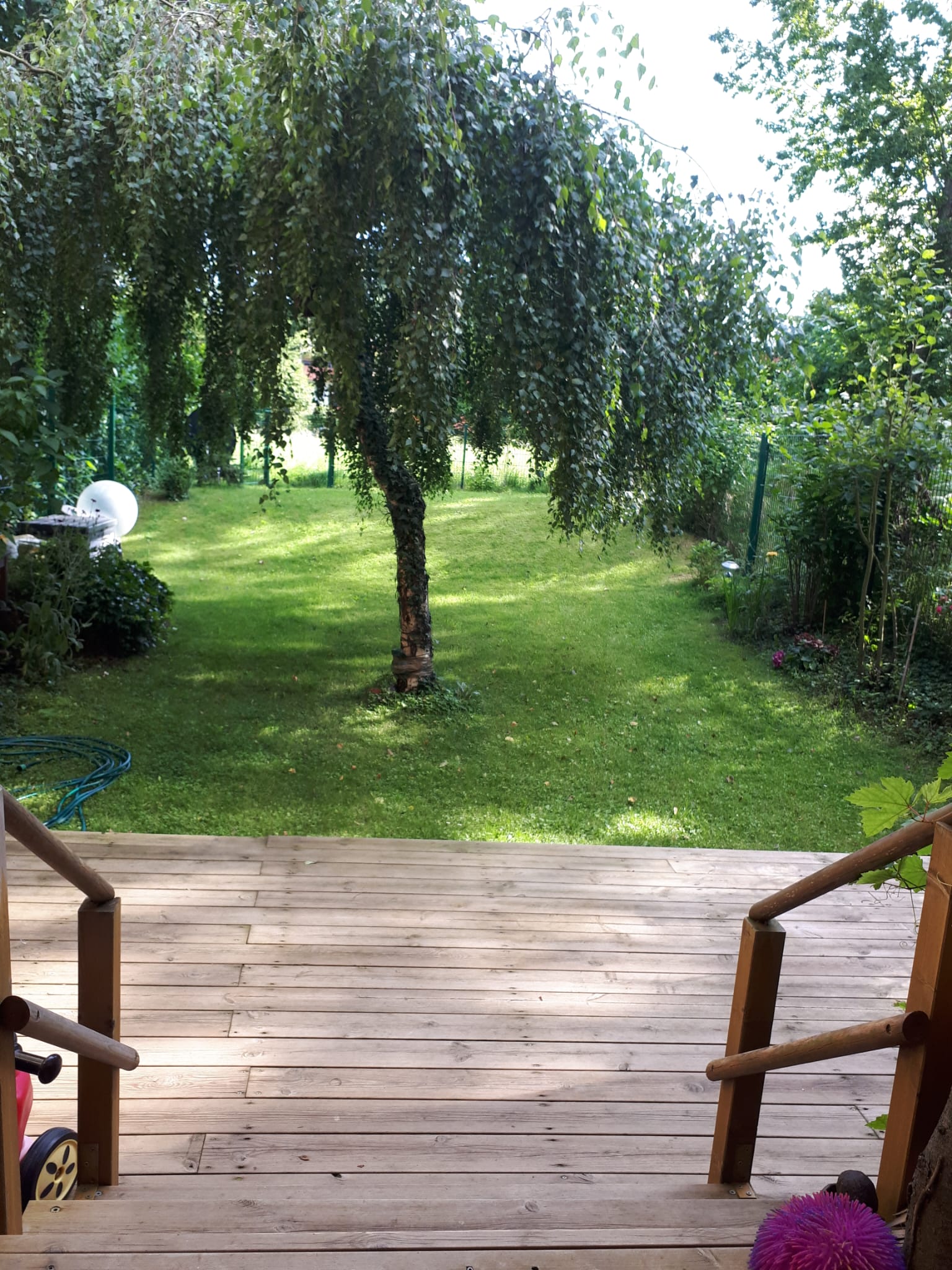 Großer grüner Garten mit Terrasse und Birke – Blick von der Terrasse