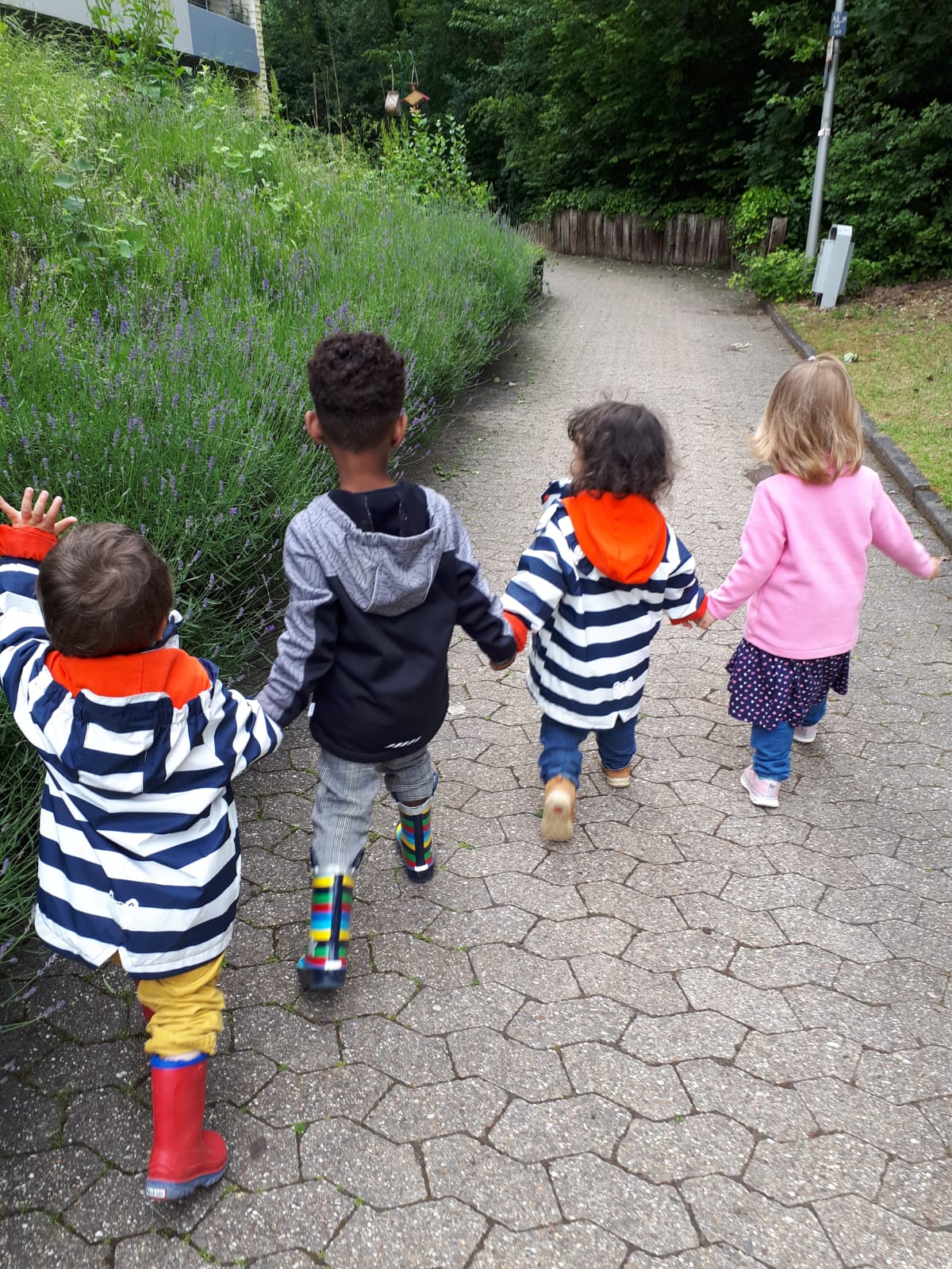 Vier Kinder gehen Hand in Hand spazieren, umgeben von Lavendel und Grün